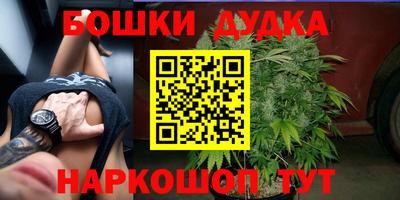 2c-b Камышлов