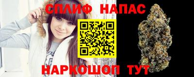 2c-b Камышлов